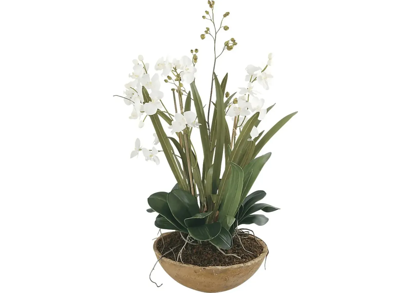 Islewood White Faux Orchid