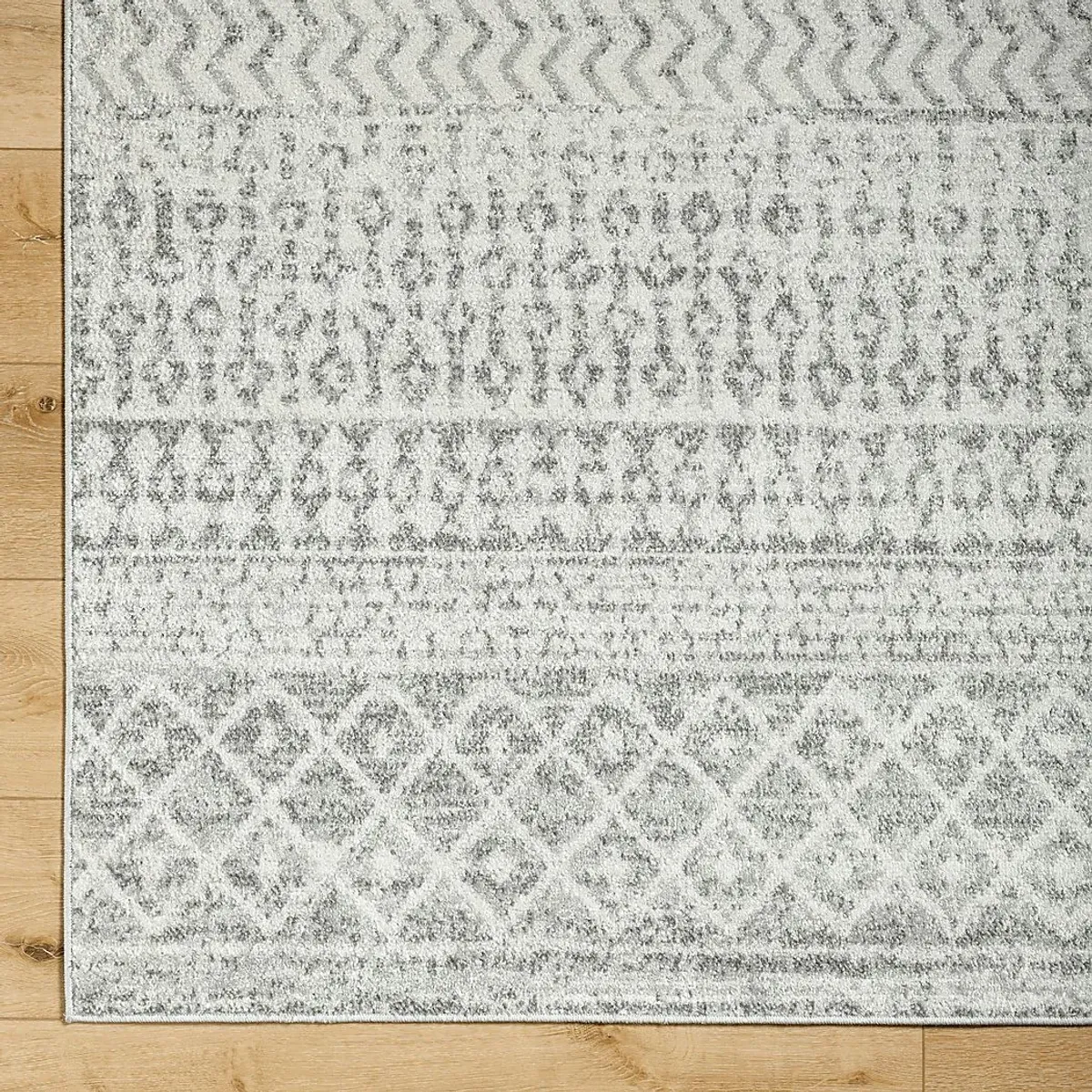 Chelsina I Light Gray 3'11 x 5'7 Rug