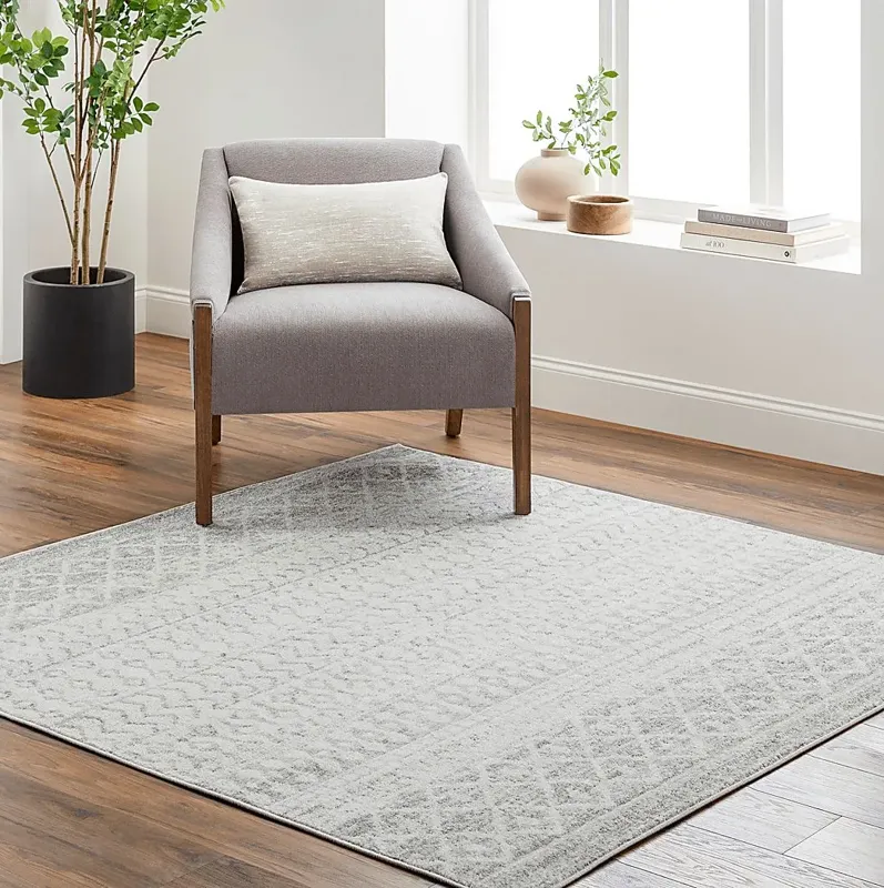 Chelsina I Light Gray 5' Square Rug