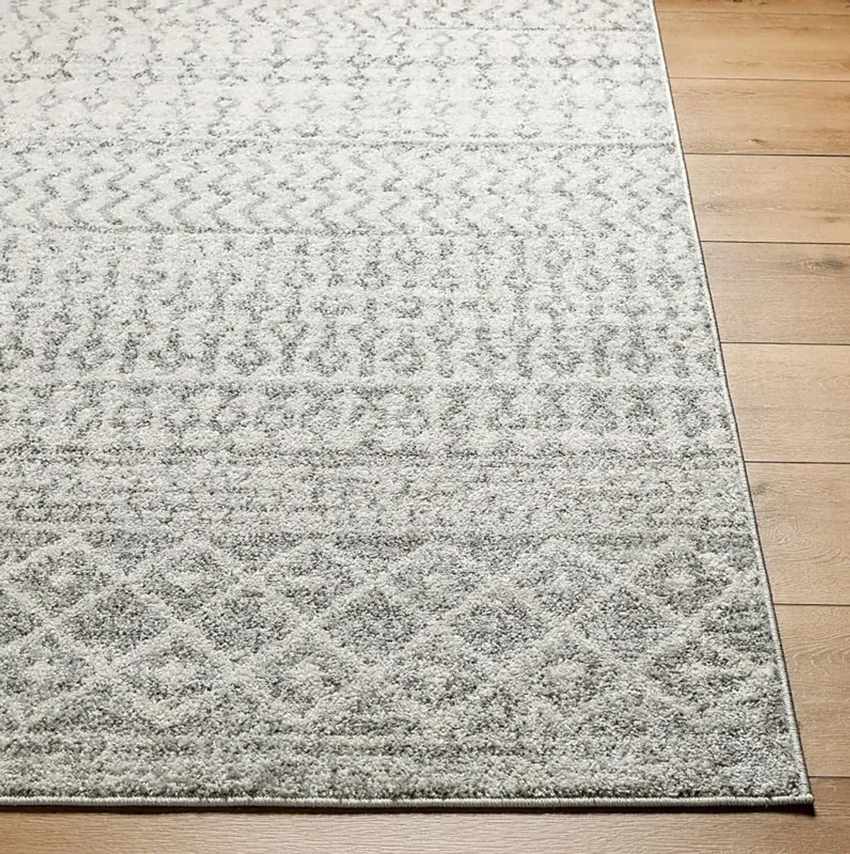 Chelsina I Light Gray 6'7 x 9' Rug