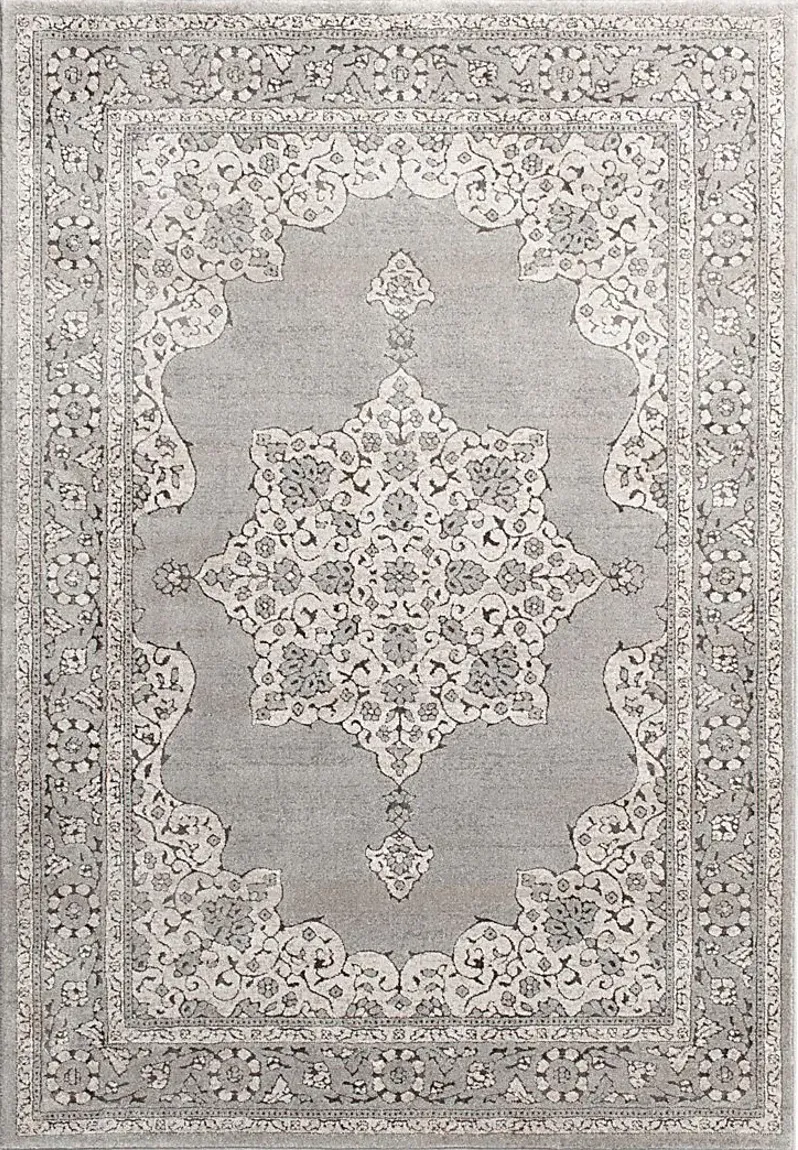 Ebany Gray 5'3 x 7'7 Rug