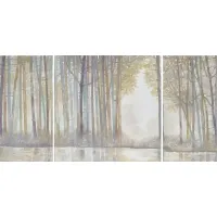 Farallones Multi Gel Coated Canvas Set of 3