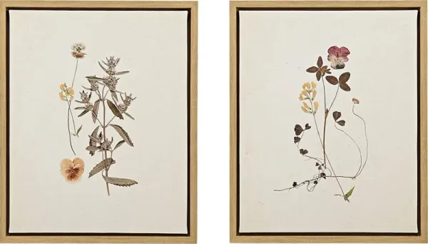 Muscatel Multi Framed Canvas, Set of 2