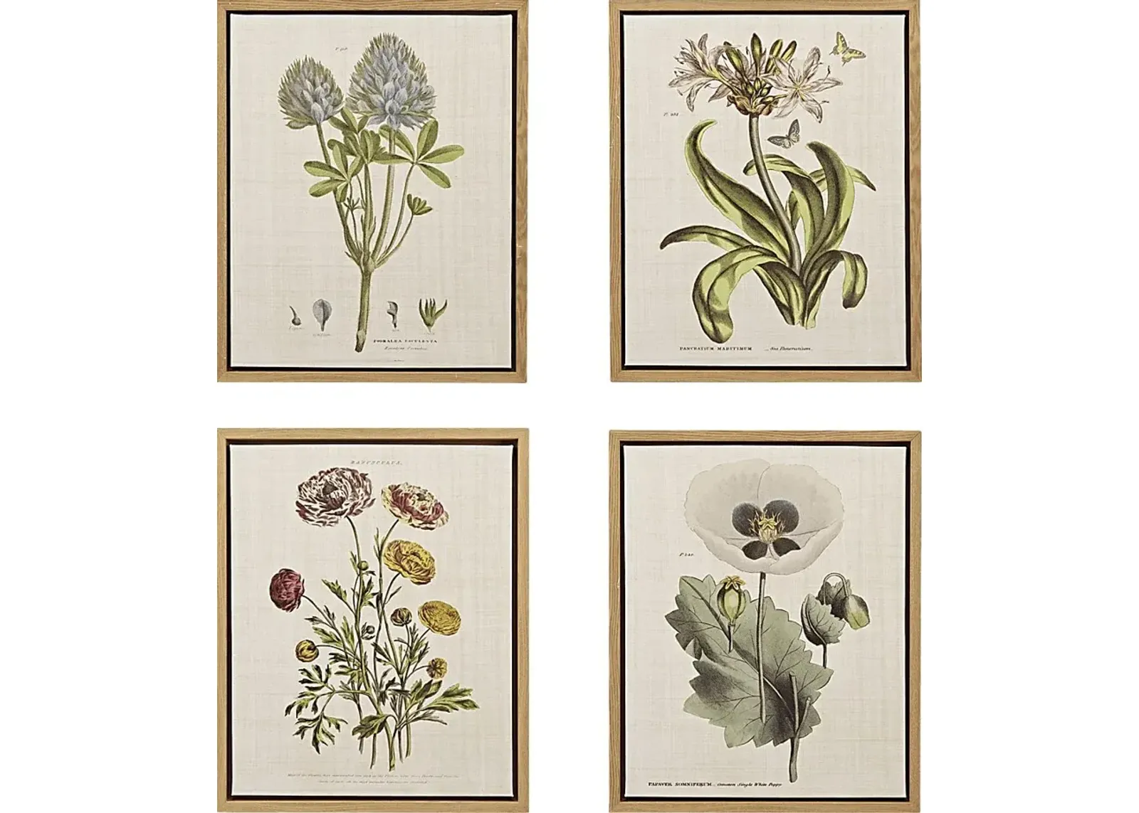 Nucham Green Artwork, Set of 4