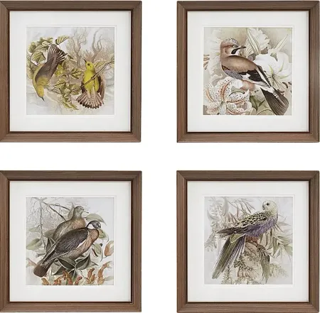 Camelford Multi Framed Graphic Wall Art Set of 4