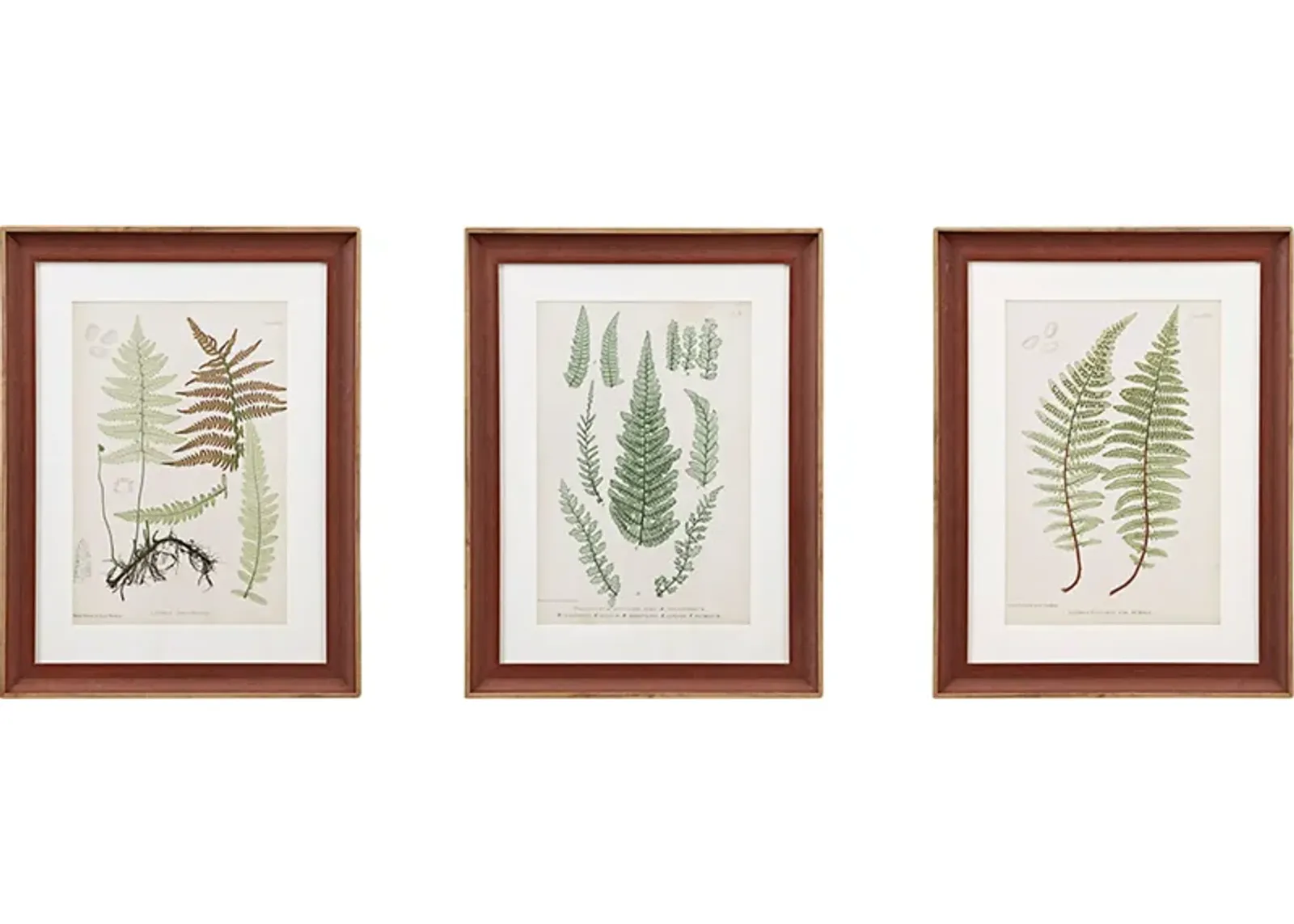 Avonoak Green Framed Graphic Wall Art Set of 3