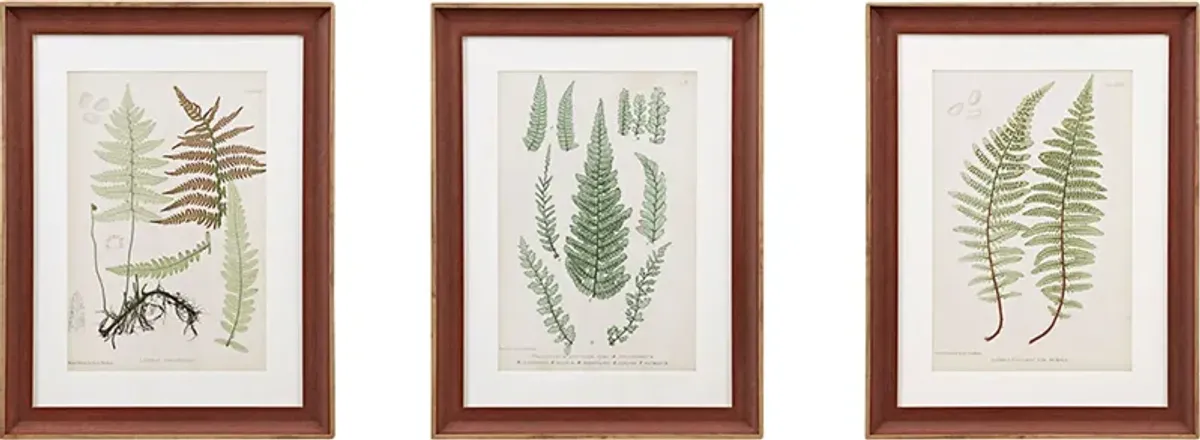 Avonoak Green Framed Graphic Wall Art Set of 3