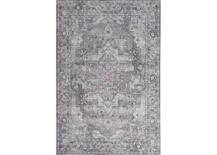 Coleena Gray 4' x 6'  Rug