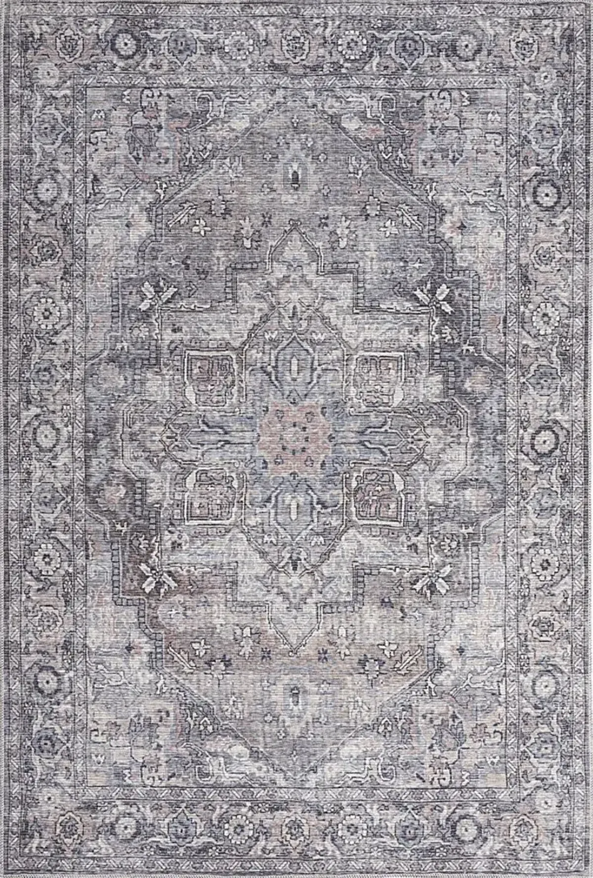 Coleena Gray 4' x 6'  Rug