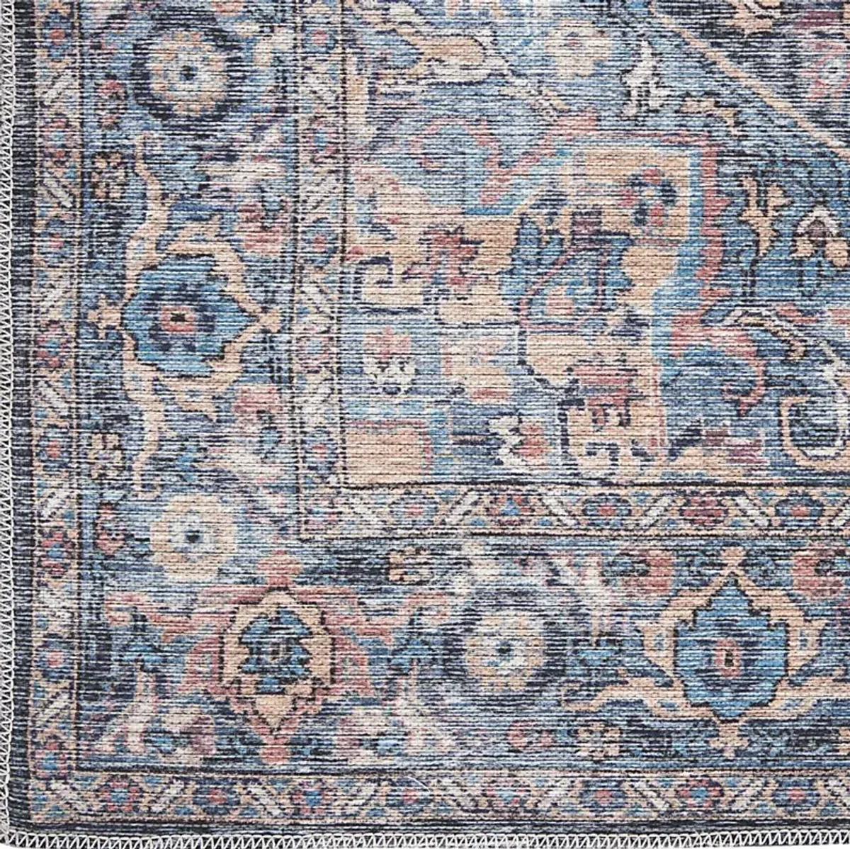 Coleena Light Blue 4' x 6'  Rug