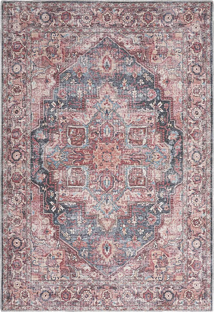 Coleena Multi 4' x 6'  Rug