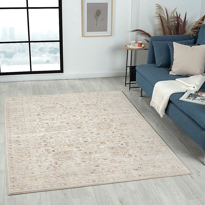 Sminola Beige 4' x 6' Rug