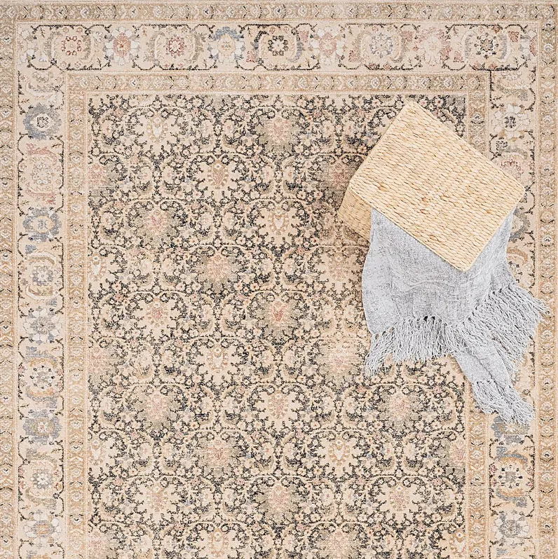 Matashire Cream/Beige 3'1 x 5'6 Rug