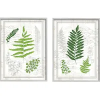 Delicate Ferns Set of 2 Artwork