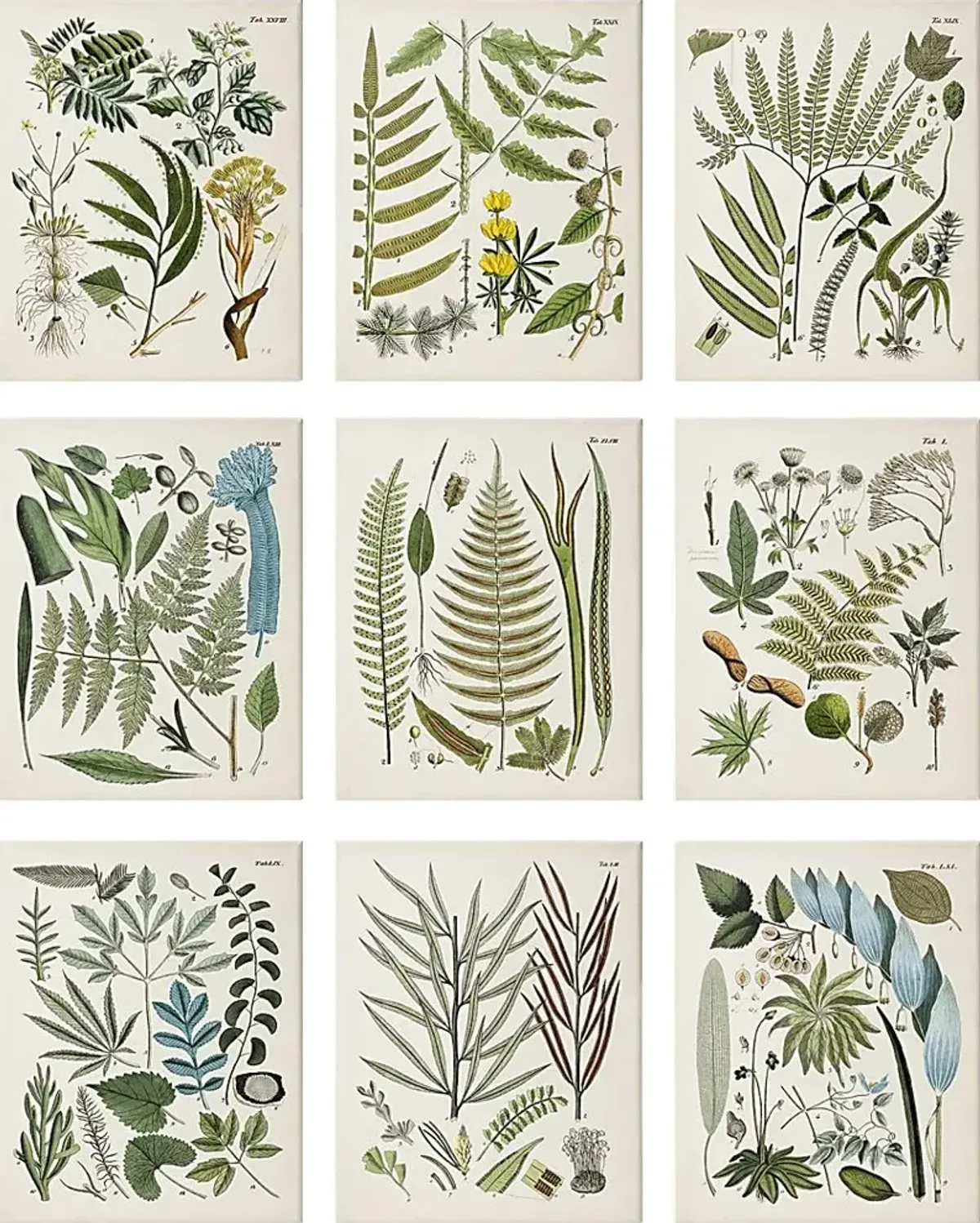 Peaceful Floral Set of 9 Artwork