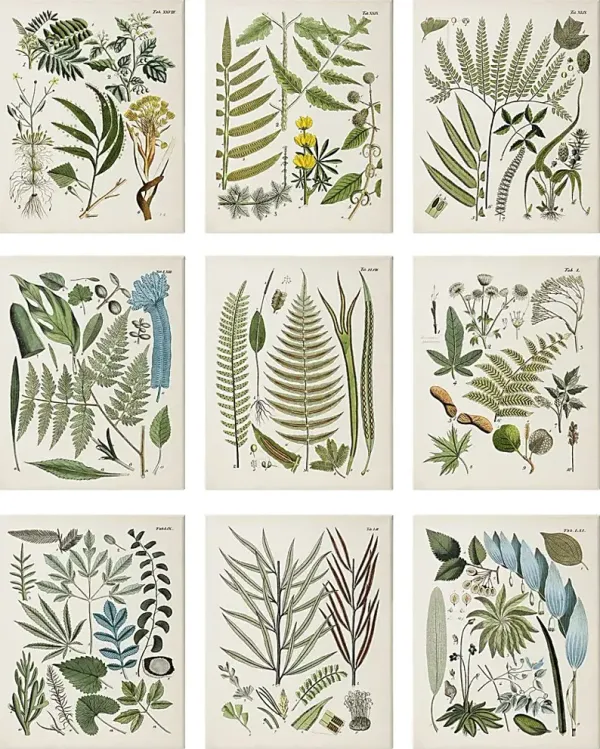 Peaceful Floral Set of 9 Artwork