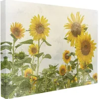 Sunflower Field Artwork