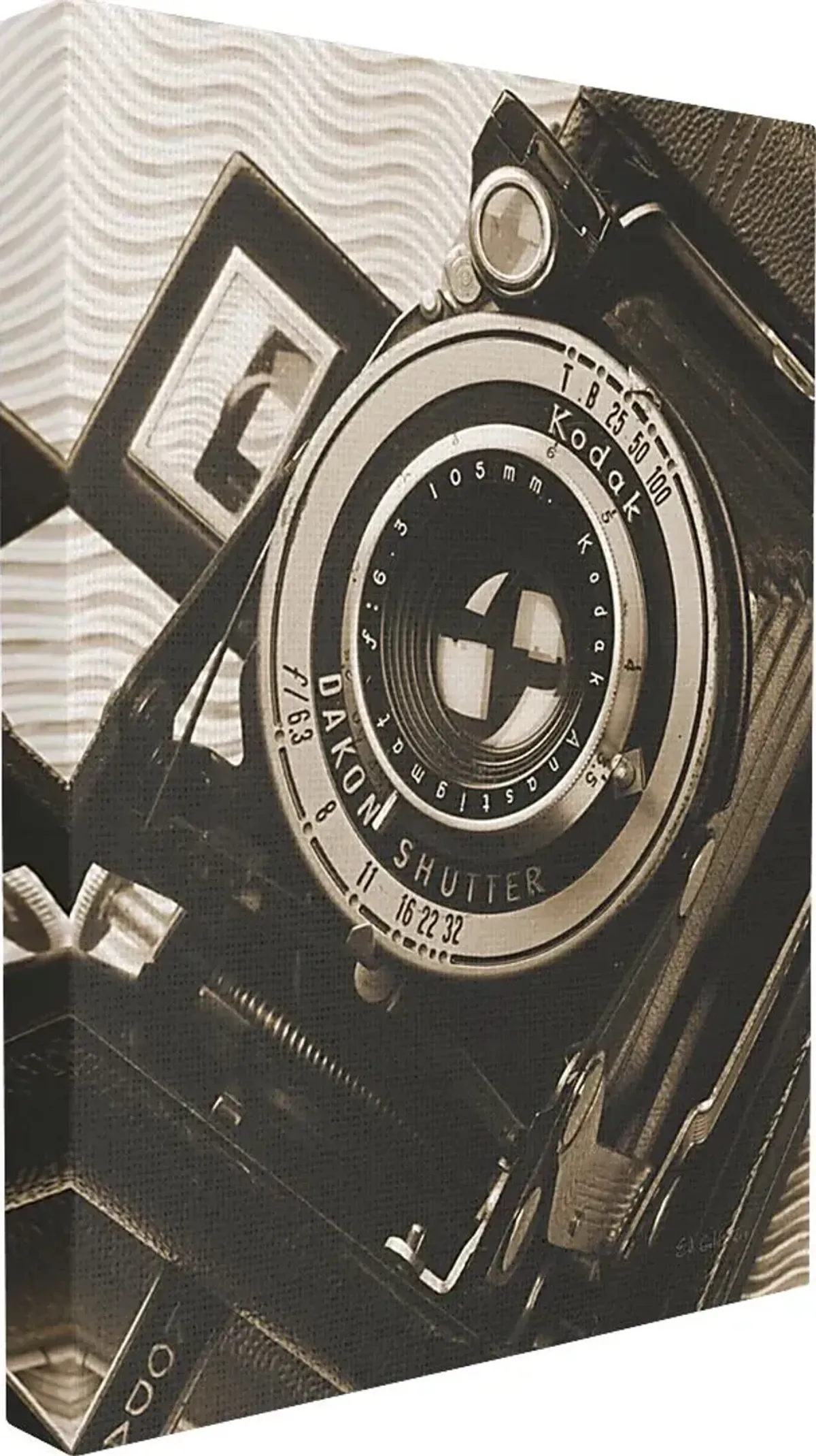 Vintage Lens Artwork