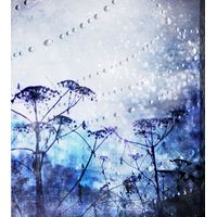 Water Droplets Purple Artwork