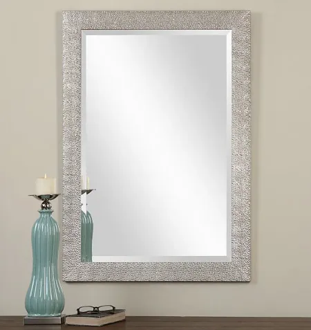 Daryle Silver Mirror
