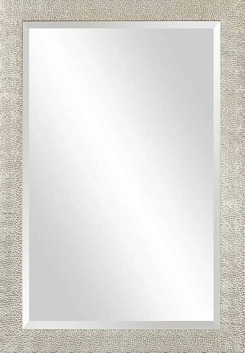 Daryle Silver Mirror