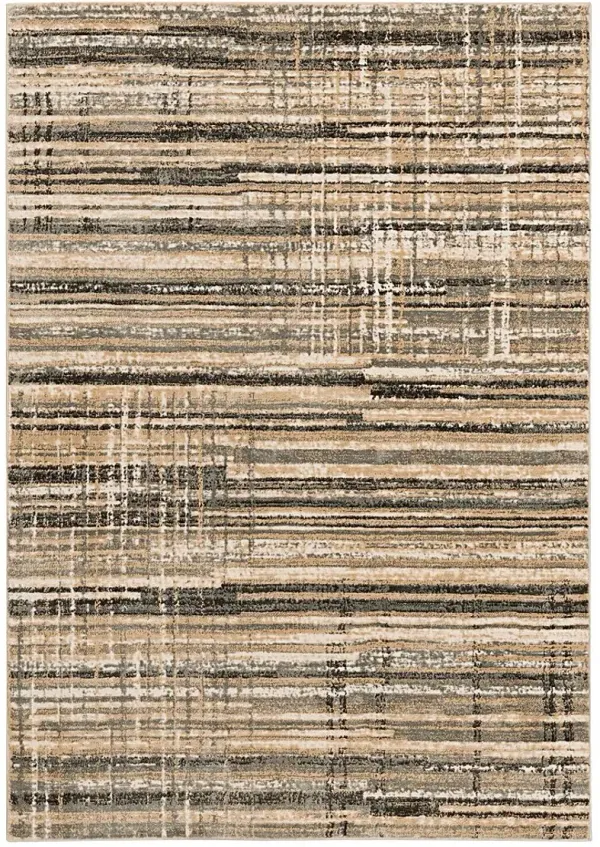 Azmer 8' x 10' Gray/Brown Rug