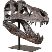 A Dinosaur's Past Gray Sculpture