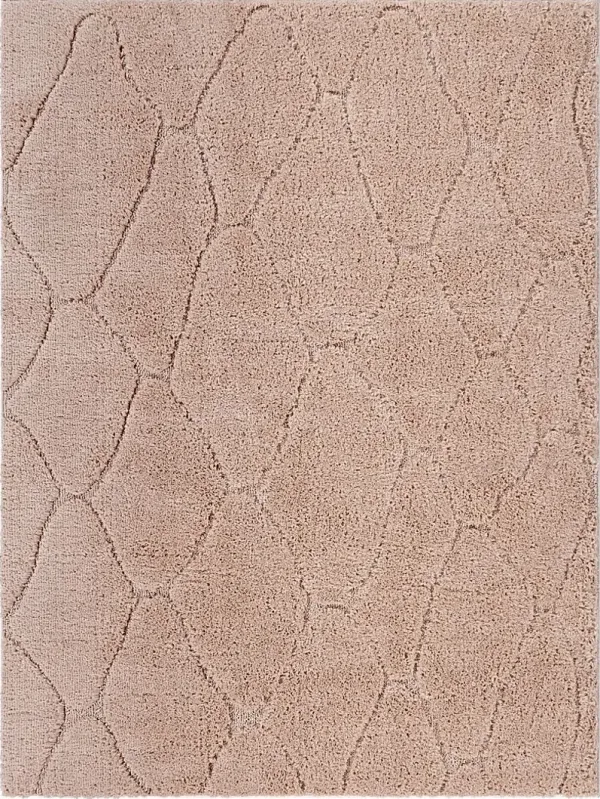 Lalisa Coral 7'10 x 10' Rug