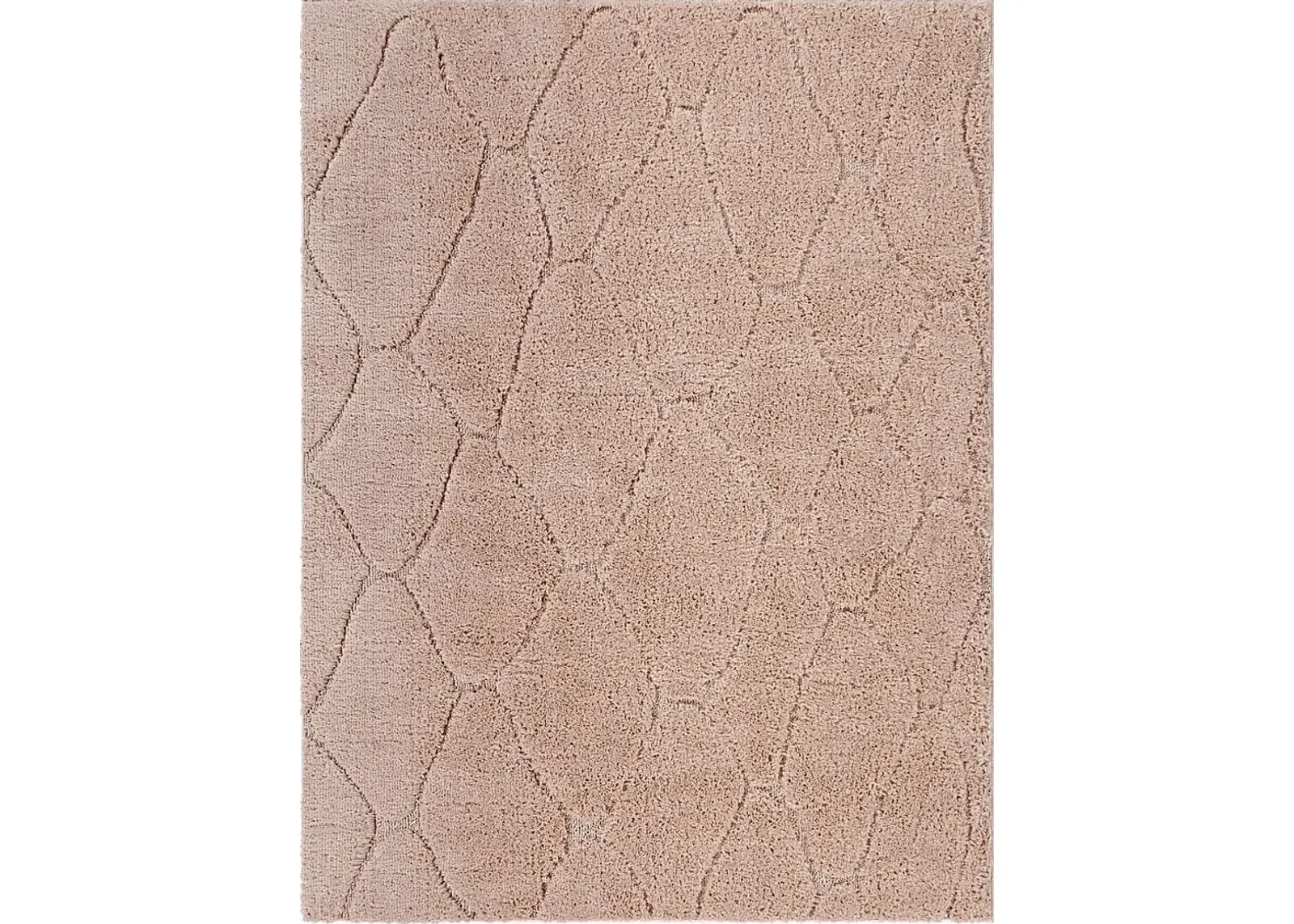 Lalisa Coral 7'10 x 10' Rug