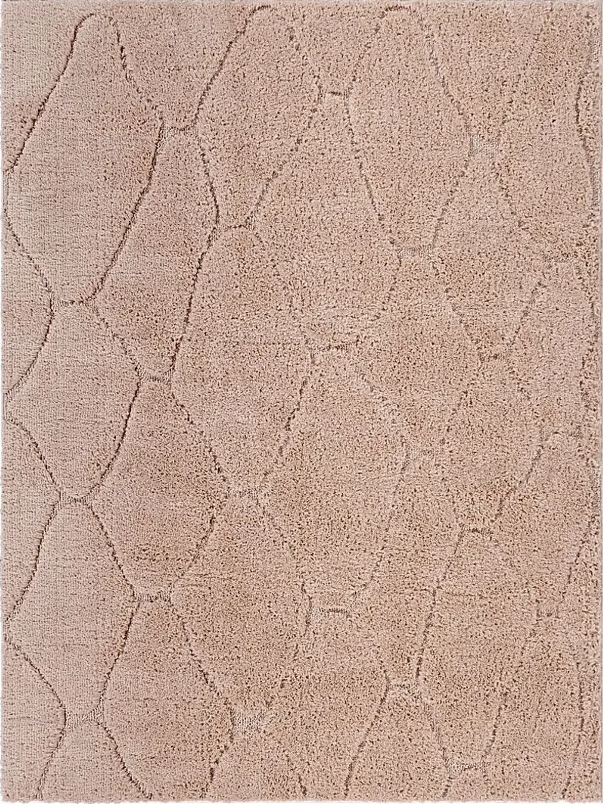 Lalisa Coral 7'10 x 10' Rug