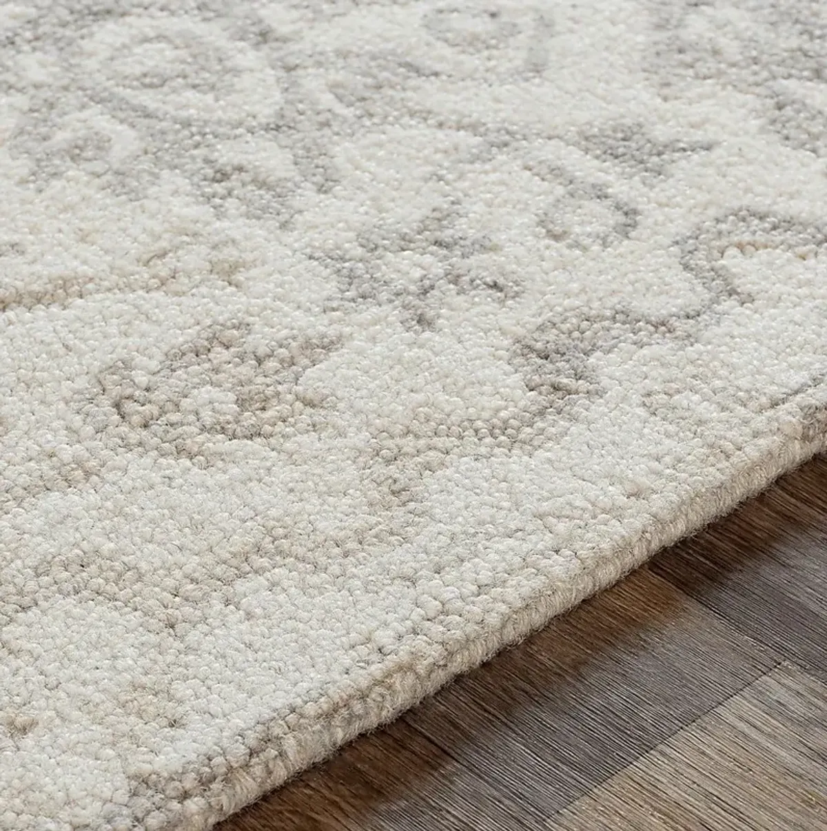 Arcilla Taupe 6' x 9' Rug