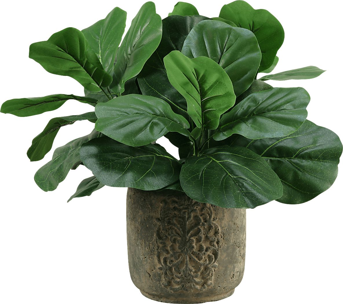 Niall Green Fiddle Leaf Fig Silk Plant