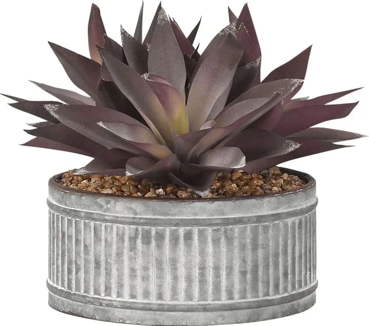 Kyelle Purple Aloe Silk Plant