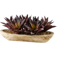 Domenica Purple Aloe Silk Plant