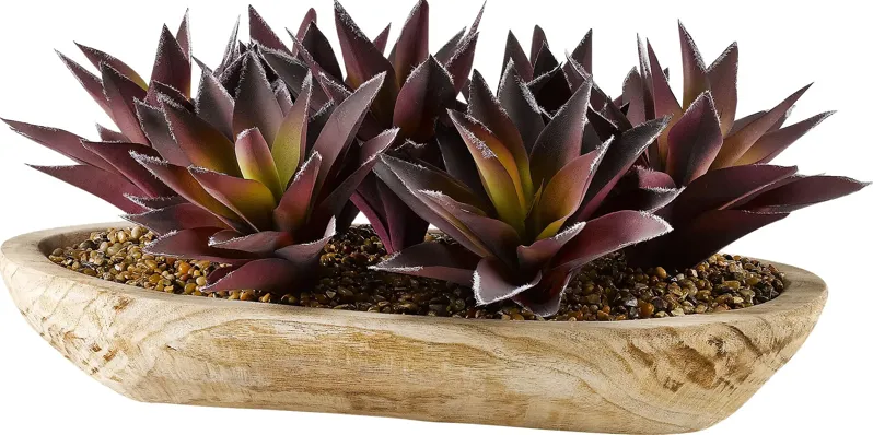 Domenica Purple Aloe Silk Plant