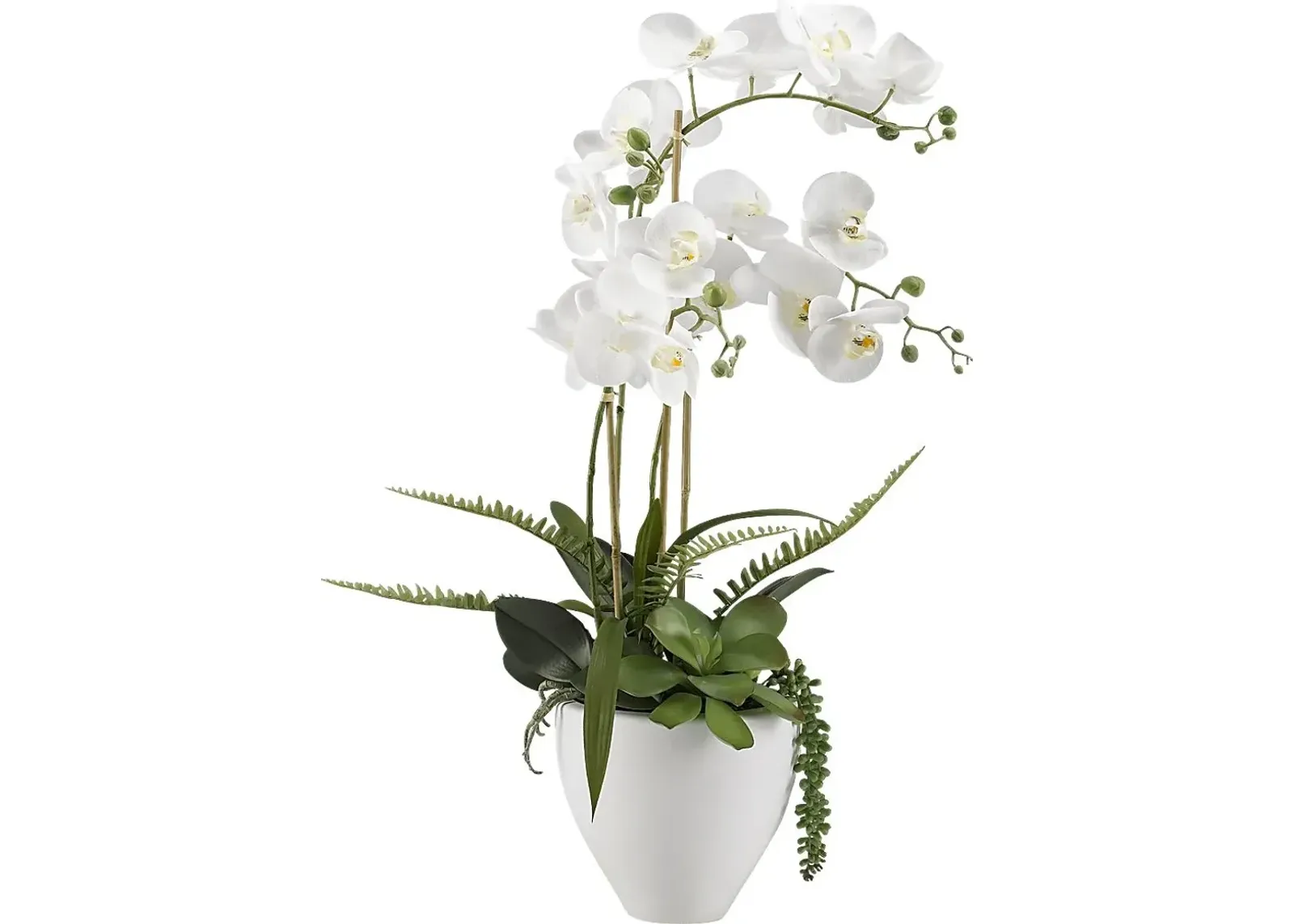 Elmir White Orchid Flower Arrangement