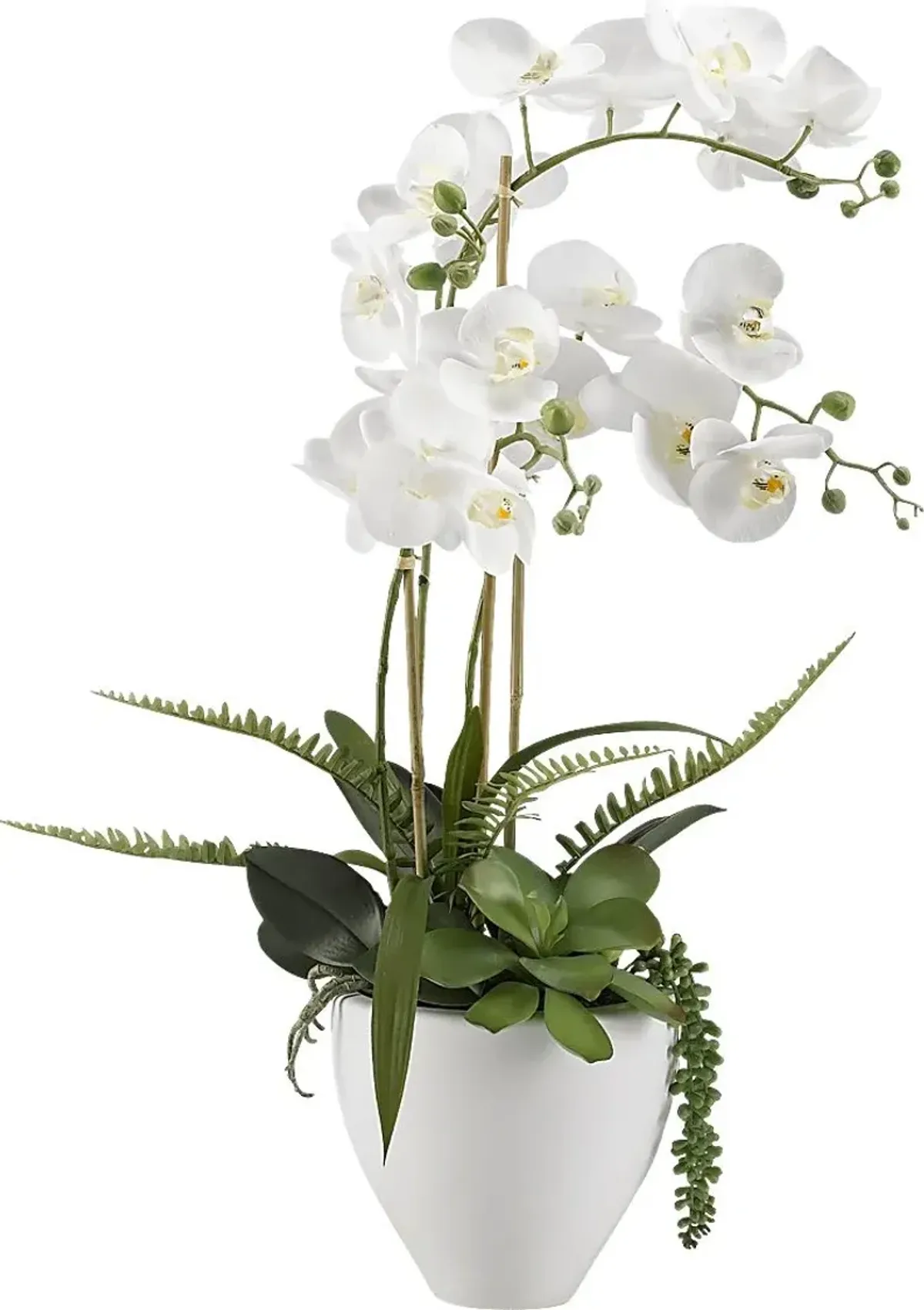 Elmir White Orchid Flower Arrangement