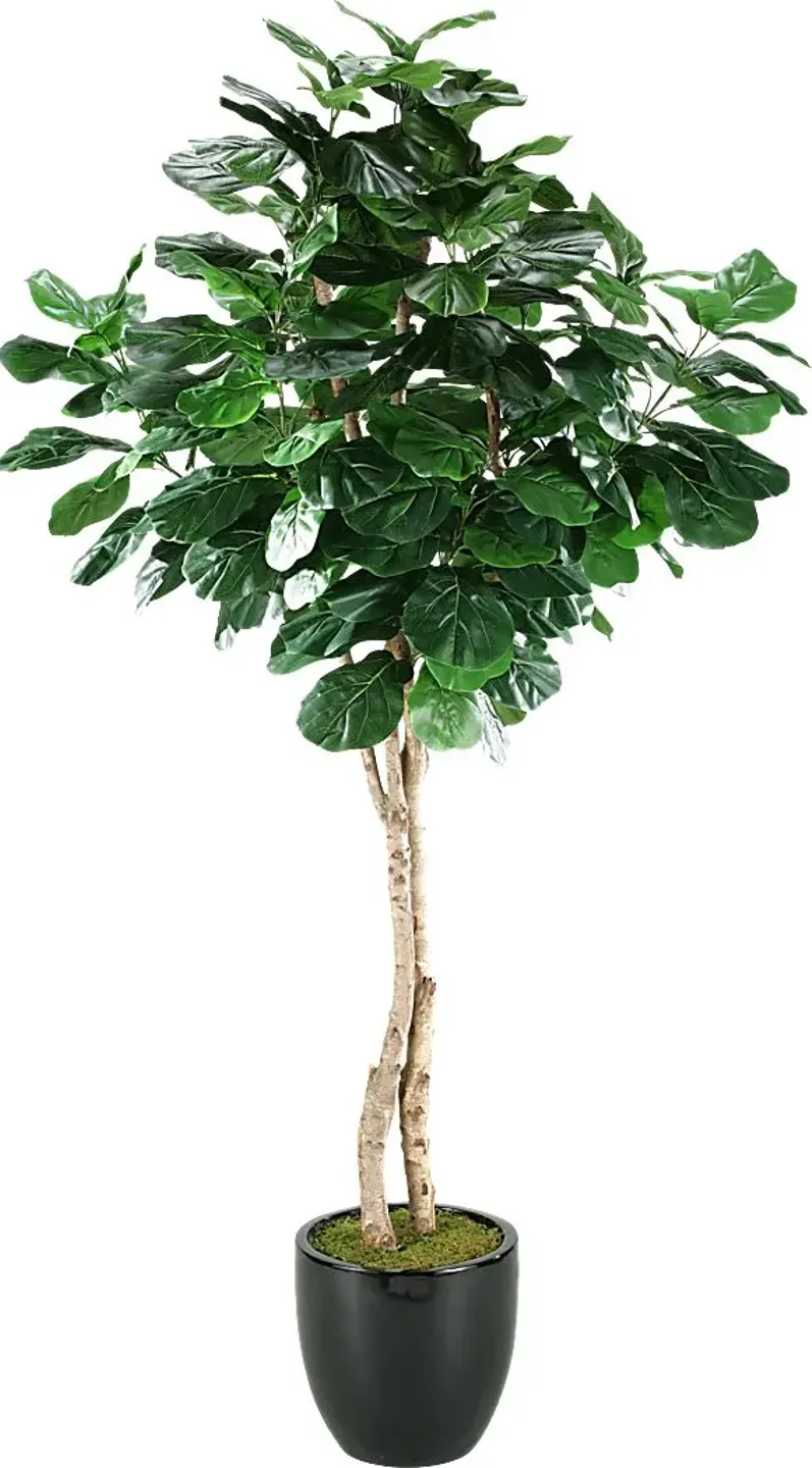Arther Green Fiddle Leaf Fig Silk Tree