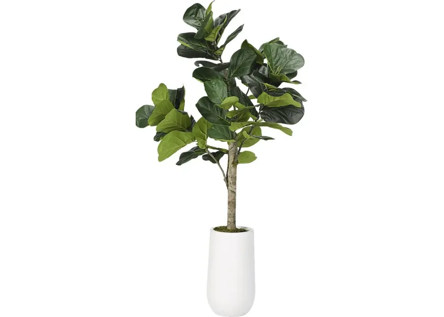 Brynden Green Fiddle Leaf Fig Large Silk Tree