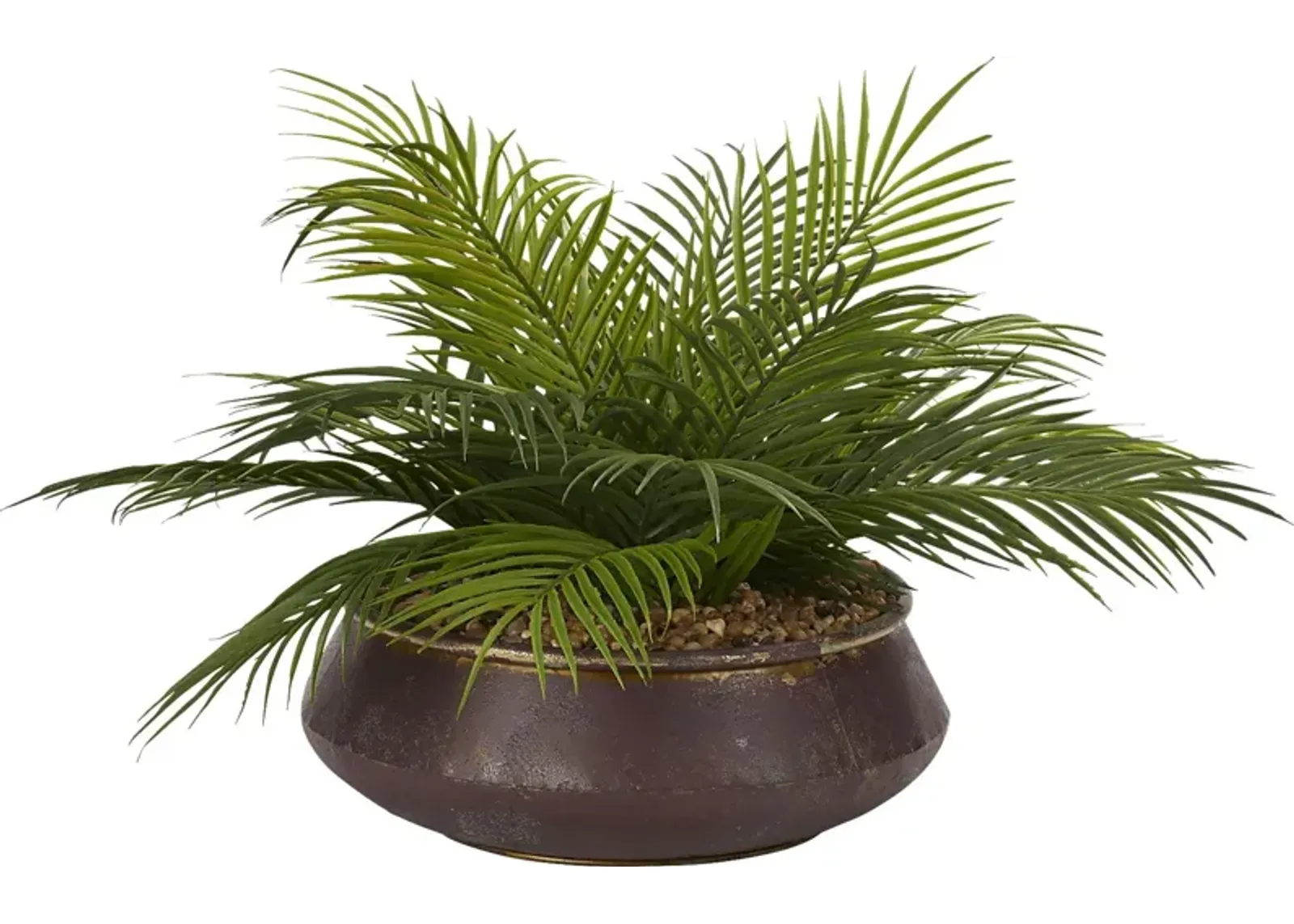 Athiran Green Palm Silk Plant