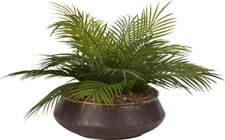 Athiran Green Palm Silk Plant