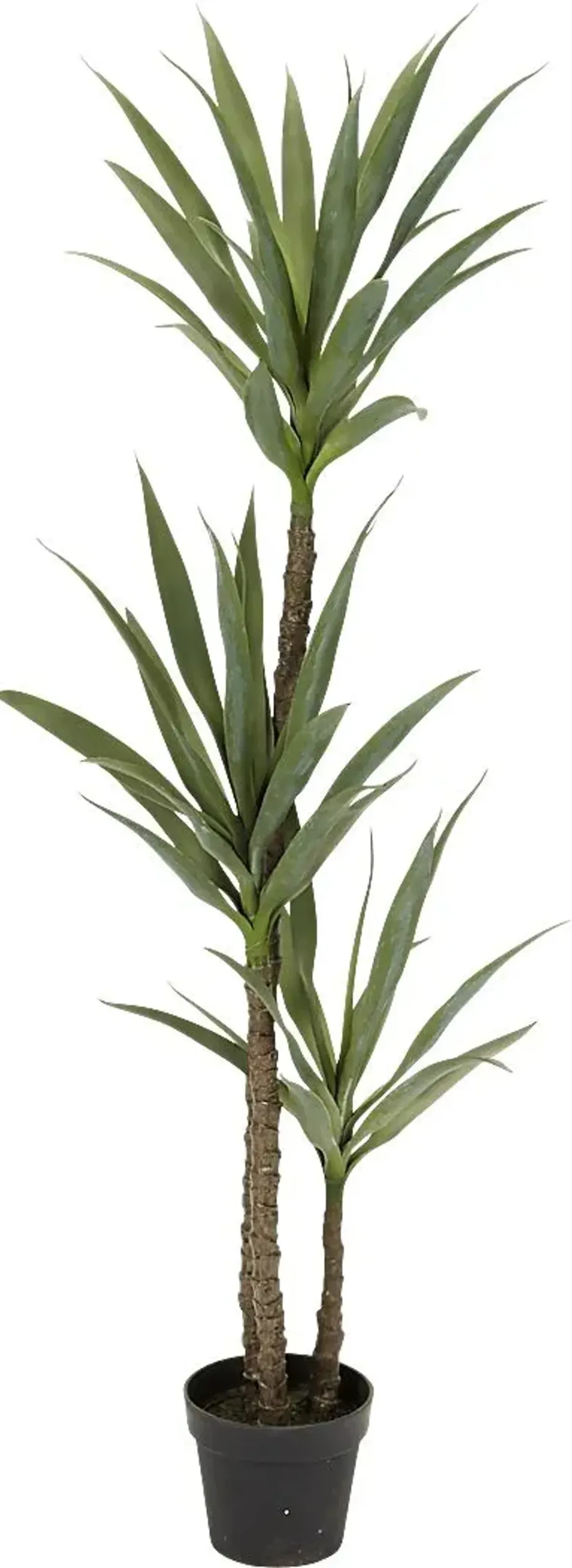 Raena Green Dracaena Silk Tree