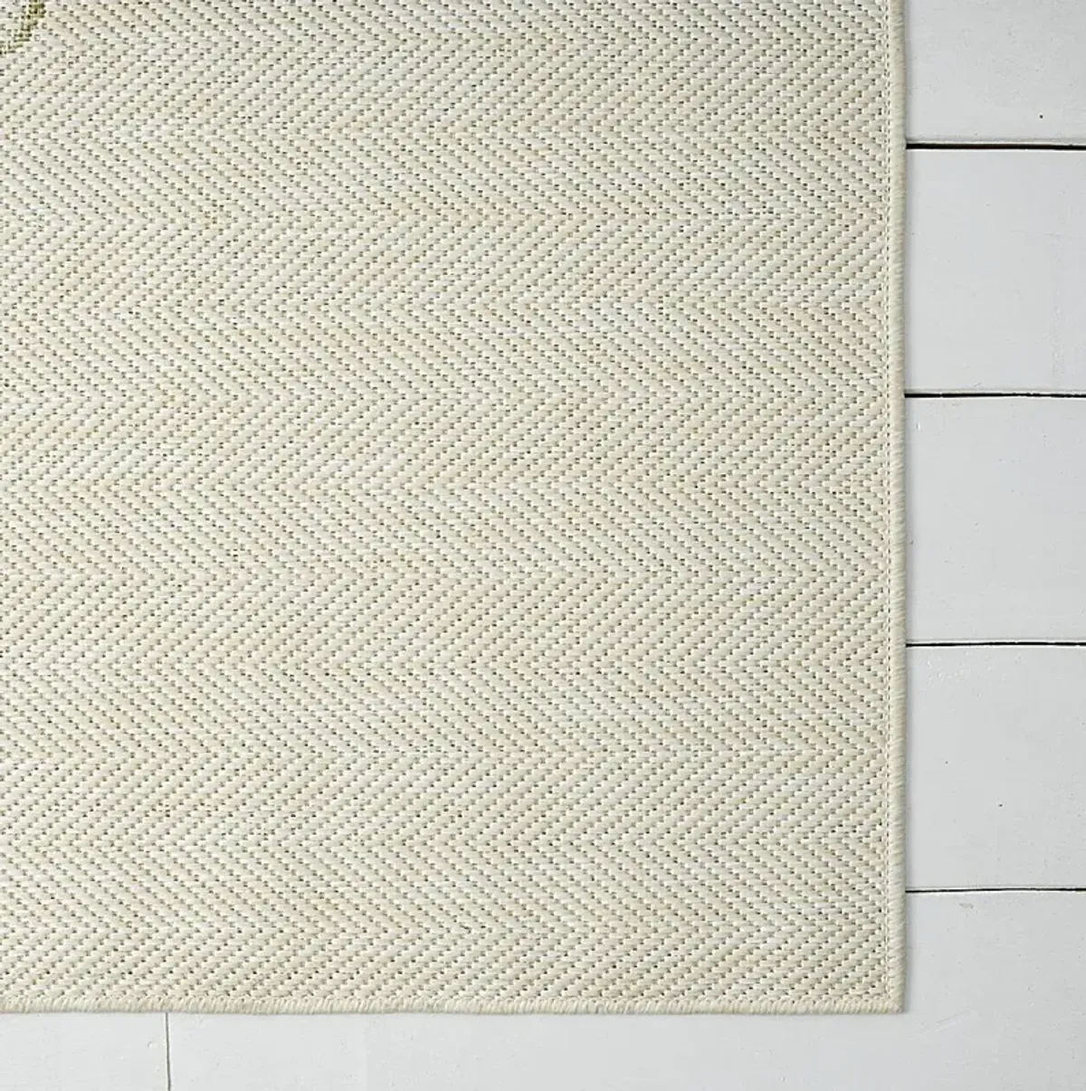 Ashsano Beige/Green 5' x 7' Indoor/Outdoor Rug