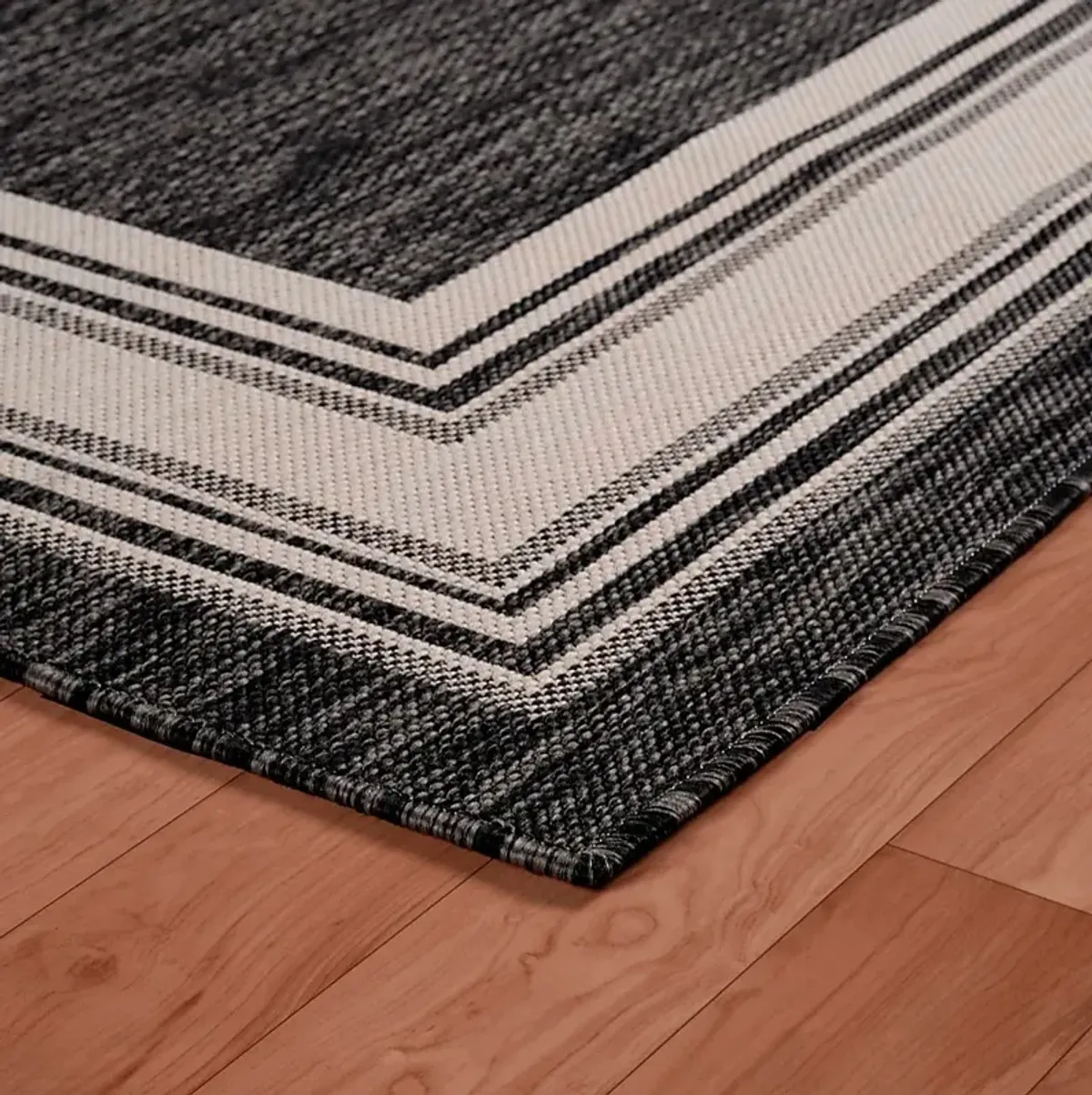 Carledosa Black/Multi 5'3 x 7' Indoor/Outdoor Rug