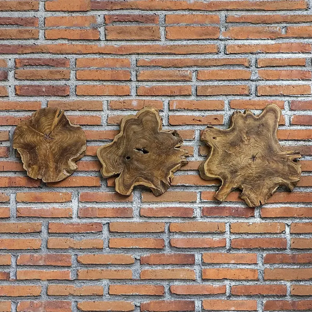 Kaspar Brown Wall Decor, Set of 3