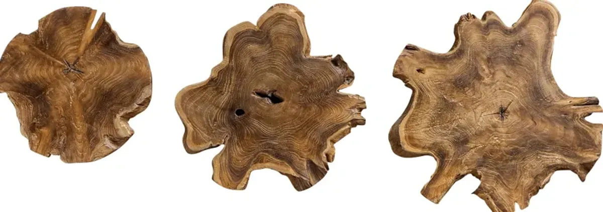 Kaspar Brown Wall Decor, Set of 3