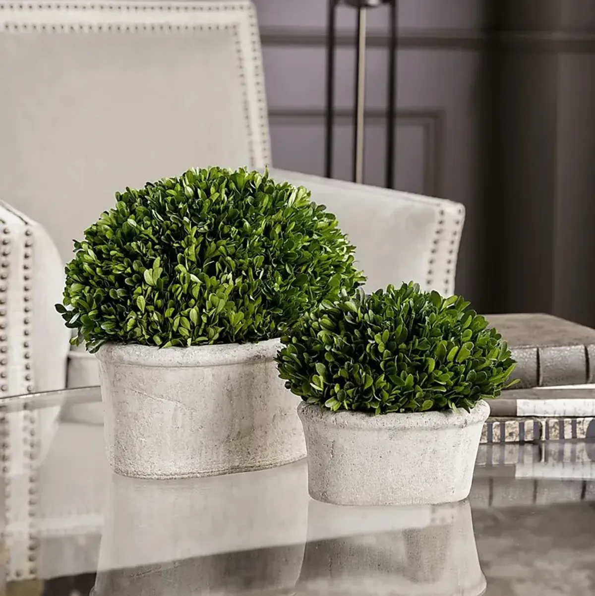 Venicia Tan Planter, Set of 2