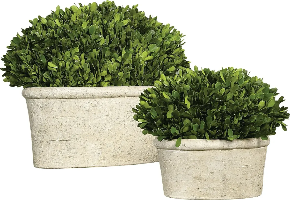 Venicia Tan Planter, Set of 2