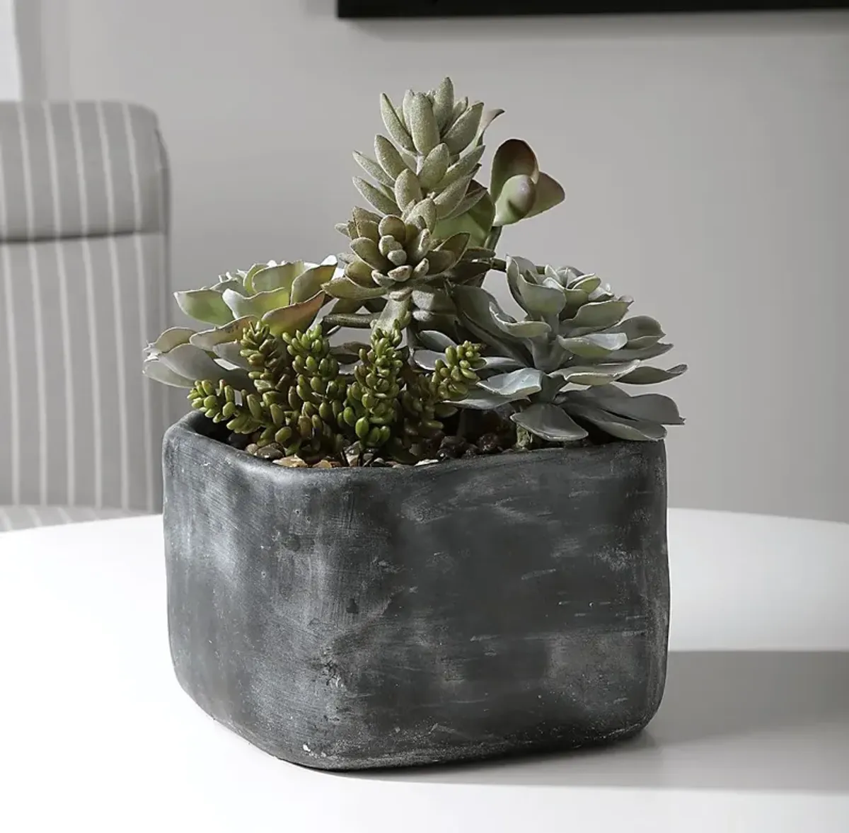 Dezlyn Gray Decorative Plant