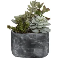 Dezlyn Gray Decorative Plant